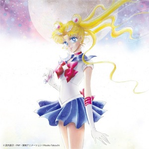 Bishoujo Senshi Sailor Moon  THE 20TH ANNIVERSARY MEMORIAL TRIBUTE  Photo