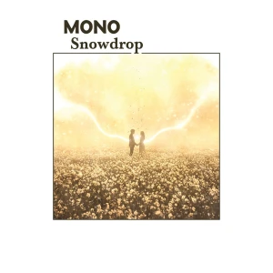 Snowdrop  Photo