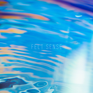 FELT SENSE  Photo