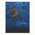 himawari (CD+DVD) Cover