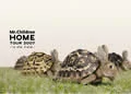 Mr.Children "HOME" TOUR 2007 ~in the field~ (2DVD) Cover