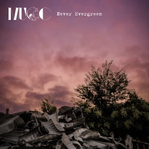 Never Evergreen  Photo