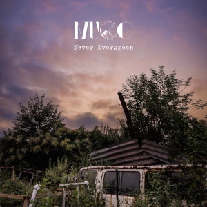 Never Evergreen  Photo