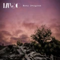 Never Evergreen Cover