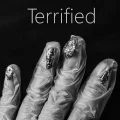 Terrified Cover