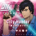City Hunter ~Ai yo Kienai de~ (City Hunter ~愛よ消えないで~) Cover