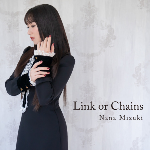Link or Chains  Photo