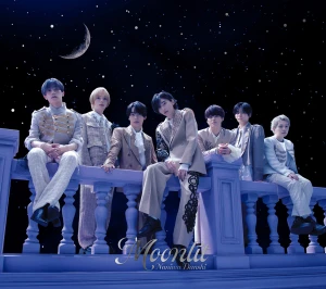Moonlit Photo