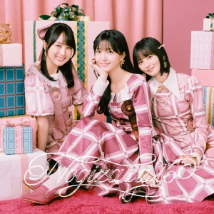 Biryani (ビリヤニ)  Photo