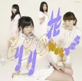 Hiri Hiri no Hana (ヒリヒリの花)  (CD+DVD B) Cover