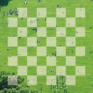 Chessboard  Photo