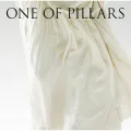 "ONE OF PILLARS" ～BEST OF CHIHIRO ONITSUKA 2000-2010～ (SHM-CD) Cover