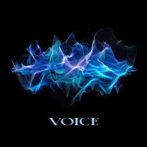VOICE  Photo