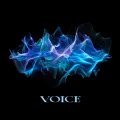 VOICE