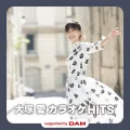Ai Otsuka Karaoke HITS supported by DAM (Digital) Cover