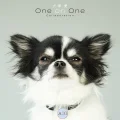 Inutsuka Ai One on One Collaboration Cover