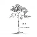 Hikari (ヒカリ) (Digital Single) Cover