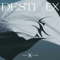 DESTINEX Cover