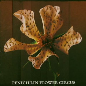 FLOWER CIRCUS (Regular Version)  Photo