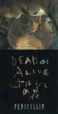 DEAD or ALIVE / Narushisu no hana (ナルシスの花)  Cover