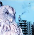 Fukurou (CD Limited Edition) Cover