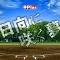 Hinata ni Saku Yume (日向に咲く夢) (CD+DVD) Cover