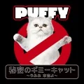 Himitsu no Gimme Cat ~Ufufu Honto yo~  (秘密のギミーキャット ~うふふ 本当よ~) Cover
