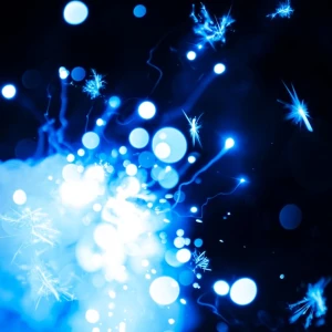 Tamamono  (賜物)  Photo