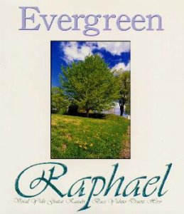 Evergreen  Photo