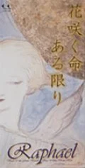 Hanasaku Inochi Aru Kagiri (花咲く命ある限り)  Cover
