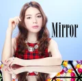 Mirror Cover
