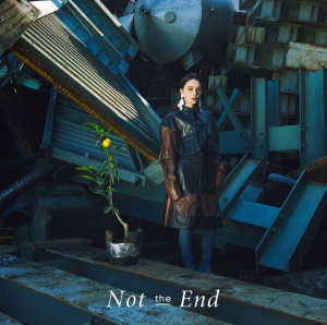 Not the End  Photo