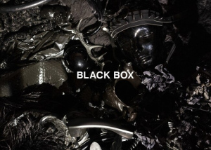 BLACK BOX  Photo