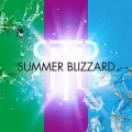 Summer Blizzard (Digital) Cover