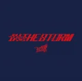 IN THE STORM Cover