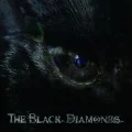 THE BLACK DIAMONDS (CD+DVD) Cover
