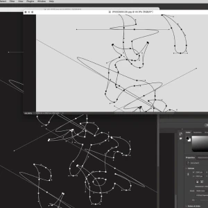 Iranai (いらない)  Photo