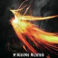 RAGING BLOOD (CD TYPE W) Cover