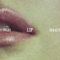 Lip Cover