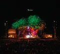 Tree (CD+DVD) Cover