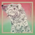 Kohaku (琥珀) / Zukan (図鑑) Cover