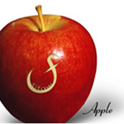 Apple ~Aka Ringo~ (Apple ～赤りんご～)  Photo