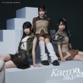 Karma Cover