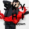 Double Down (CD+DVD A) Cover
