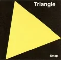 Triangle Cover