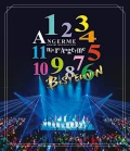 ANGERME Concert Tour 2023 Aki 11 Nin no ANGERME ～BEST ELEVEN～  (アンジュルム コンサートツアー 2023 秋 11人のアンジュルム～BEST ELEVEN～) Cover