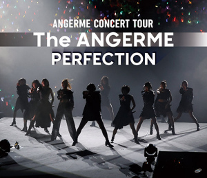 ANGERME CONCERT TOUR -The ANGERME- PERFECTION  Photo