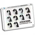 ANGERME DVD Magazine Vol.20  Cover