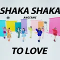 SHAKA SHAKA TO LOVE Cover