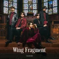 Wing Fragment Cover